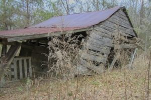 Four Reasons to Rely on a Professional Team for Demolition